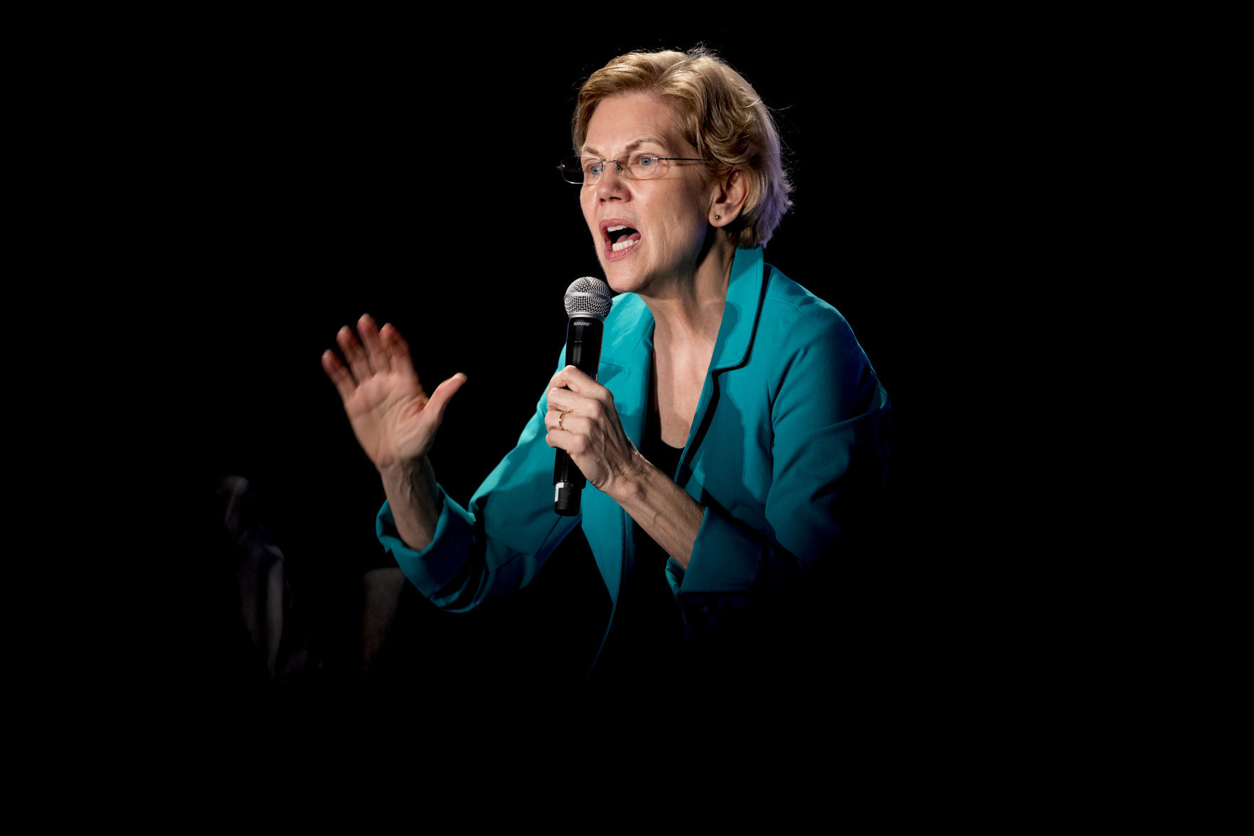 Election 2020 Elizabeth Warren